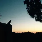 Vakantieboerderij Masseria Fanizzi