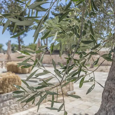 Masseria Fanizzi Farm stay Conversano