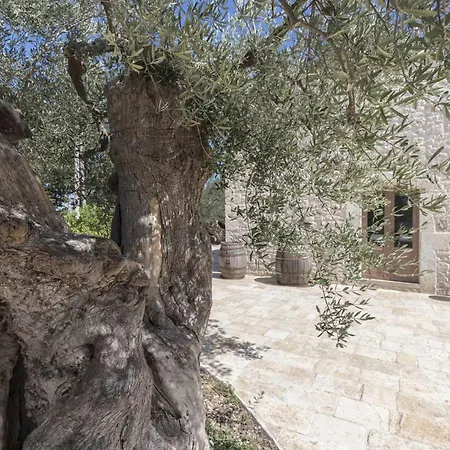 Masseria Fanizzi Lantgård *
