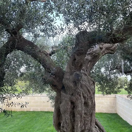 Masseria Fanizzi Farm stay *