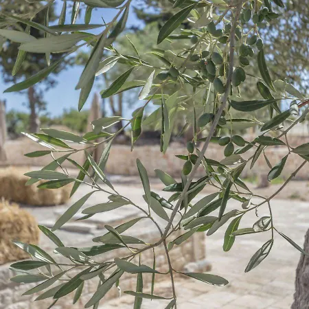 Masseria Fanizzi