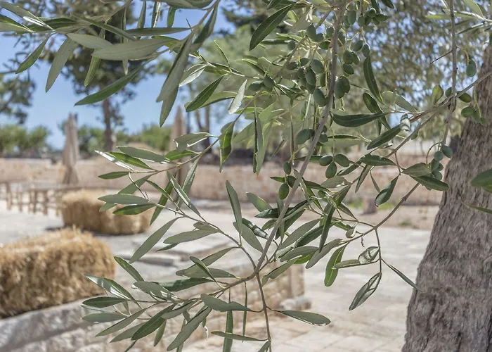 Masseria Fanizzi